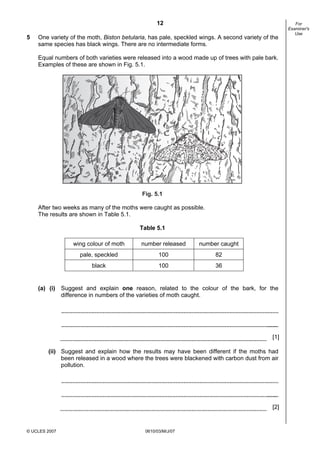 First variant Question Paper
12
5

One variety of the moth, Biston betularia, has pale, speckled wings. A second variety of the
same species has black wings. There are no intermediate forms.
Equal numbers of both varieties were released into a wood made up of trees with pale bark.
Examples of these are shown in Fig. 5.1.

Fig. 5.1

After two weeks as many of the moths were caught as possible.
The results are shown in Table 5.1.
Table 5.1
wing colour of moth

number released

number caught

pale, speckled

100

82

black

100

36

(a) (i) Suggest and explain one reason, related to the colour of the bark, for the
difference in numbers of the varieties of moth caught.

[1]
(ii) Suggest and explain how the results may have been different if the moths had
been released in a wood where the trees were blackened with carbon dust from air
pollution.

[2]

© UCLES 2007

0610/03/M/J/07

For
Examiner's
Use

 