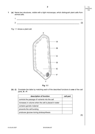 First variant Question Paper
2
1

For
Examiner's
Use

(a) Name two structures, visible with a light microscope, which distinguish plant cells from
animal cells.
1
2

[2]

Fig. 1.1 shows a plant cell.

X

A

B

C

D

E

F

Y
Fig. 1.1
(b) (i) Complete the table by matching each of the described functions to one of the cell
parts, A – F.
description of function

cell part

controls the passage of nutrients into the cell
increases in volume when the cell is placed in water
contains genetic material
prevents the cell bursting
produces glucose during photosynthesis
[5]

© UCLES 2007

0610/03/M/J/07

 