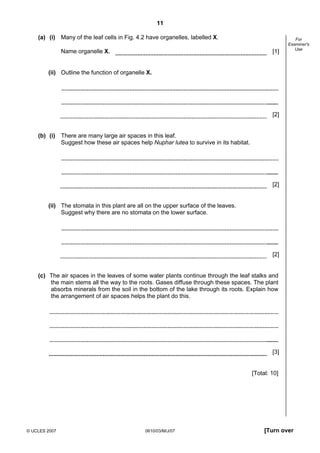 Second variant Question Paper
11
(a) (i) Many of the leaf cells in Fig. 4.2 have organelles, labelled X.
Name organelle X.

[1]

For
Examiner's
Use

(ii) Outline the function of organelle X.

[2]

(b) (i) There are many large air spaces in this leaf.
Suggest how these air spaces help Nuphar lutea to survive in its habitat.

[2]

(ii) The stomata in this plant are all on the upper surface of the leaves.
Suggest why there are no stomata on the lower surface.

[2]

(c) The air spaces in the leaves of some water plants continue through the leaf stalks and
the main stems all the way to the roots. Gases diffuse through these spaces. The plant
absorbs minerals from the soil in the bottom of the lake through its roots. Explain how
the arrangement of air spaces helps the plant do this.

[3]

[Total: 10]

© UCLES 2007

0610/03/M/J/07

[Turn over

 