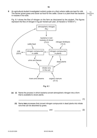 16
6

An agricultural student investigated nutrient cycles on a farm where cattle are kept for milk.
The farmer grows grass and clover as food for the cattle. Clover is a plant that has bacteria
in nodules in its roots.
Fig. 6.1 shows the flow of nitrogen on the farm as discovered by the student. The figures
represent the flow of nitrogen in kg per hectare per year. (A hectare is 10 000 m2.)

atmospheric nitrogen
(N2)

bacteria in root
nodules of clover
(73.2)
cattle feed

milk
(28.8)

nitrogen compounds
in cattle

nitrogen fertilisers
(15.3)

nitrogen compounds
in plants

urine and faeces

dead plants

nitrate ions
in the soil

rivers and streams

organic manure
(31.5)

Fig. 6.1

(a) (i) Name the process in which bacteria convert atmospheric nitrogen into a form
that is available to clover plants.
[1]
(ii) Name two processes that convert nitrogen compounds in dead plants into nitrate
ions that can be absorbed by grass.
and

© UCLES 2009

0610/31/M/J/09

[2]

For
Examiner's
Use

 