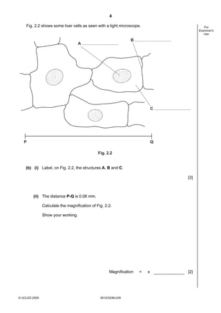4
Fig. 2.2 shows some liver cells as seen with a light microscope.

A ................................

For
Examiner's
Use

B ................................

C ................................

P

Q
Fig. 2.2

(b) (i) Label, on Fig. 2.2, the structures A, B and C.
[3]

(ii) The distance P-Q is 0.06 mm.
Calculate the magnification of Fig. 2.2.
Show your working.

Magnification

© UCLES 2009

0610/32/M/J/09

=

x

[2]

 