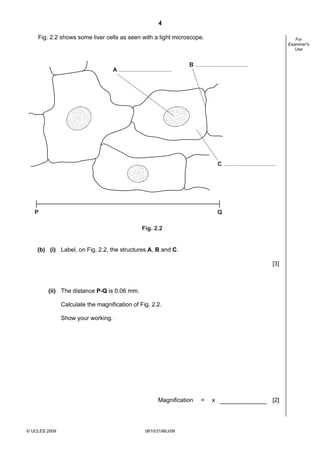 4
Fig. 2.2 shows some liver cells as seen with a light microscope.

A ................................

For
Examiner's
Use

B ................................

C ................................

P

Q
Fig. 2.2

(b) (i) Label, on Fig. 2.2, the structures A, B and C.
[3]

(ii) The distance P-Q is 0.06 mm.
Calculate the magnification of Fig. 2.2.
Show your working.

Magnification

© UCLES 2009

0610/31/M/J/09

=

x

[2]

 