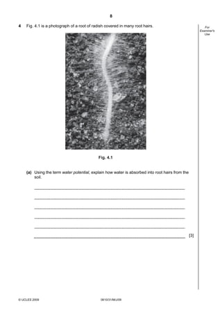 8
4

Fig. 4.1 is a photograph of a root of radish covered in many root hairs.

For
Examiner's
Use

Fig. 4.1

(a) Using the term water potential, explain how water is absorbed into root hairs from the
soil.

[3]

© UCLES 2009

0610/31/M/J/09

 