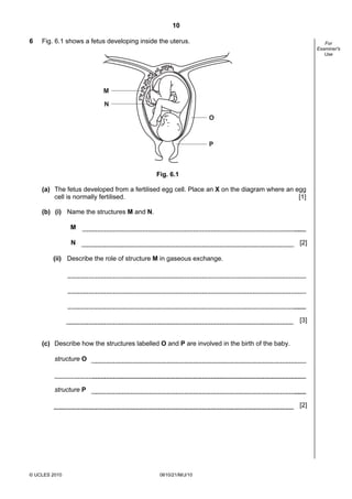 10
© UCLES 2010 0610/21/M/J/10
For
Examiner's
Use
6 Fig. 6.1 shows a fetus developing inside the uterus.
M
O
N
P
Fig. 6.1
(a) The fetus developed from a fertilised egg cell. Place an X on the diagram where an egg
cell is normally fertilised. [1]
(b) (i) Name the structures M and N.
M
N [2]
(ii) Describe the role of structure M in gaseous exchange.
[3]
(c) Describe how the structures labelled O and P are involved in the birth of the baby.
structure O
structure P
[2]
 