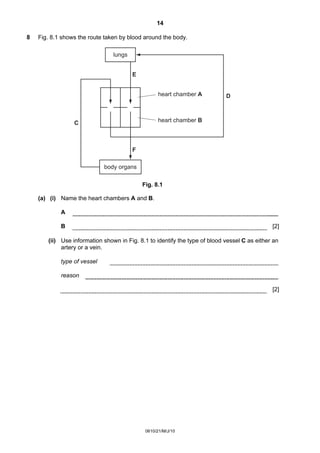 14
0610/21/M/J/10
8 Fig. 8.1 shows the route taken by blood around the body.
lungs
body organs
heart chamber A
heart chamber BC
D
E
F
Fig. 8.1
(a) (i) Name the heart chambers A and B.
A
B [2]
(ii) Use information shown in Fig. 8.1 to identify the type of blood vessel C as either an
artery or a vein.
type of vessel
reason
[2]
 