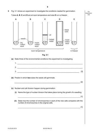 8
© UCLES 2010 0610/21/M/J/10
For
Examiner's
Use
5 Fig. 5.1 shows an experiment to investigate the conditions needed for germination.
Tubes A, B, C and D are at room temperature and tube E is in a freezer.
A B C D E
seeds
dry
cotton
wool
moist
cotton
wool
moist
cotton
wool
boiled
water
black
card
oil
room temperature in freezer
Fig. 5.1
(a) State three of the environmental conditions this experiment is investigating.
1.
2.
3. [3]
(b) Predict in which two tubes the seeds will germinate.
[2]
(c) Nuclear and cell division happen during germination.
(i) Name the type of nuclear division that takes place during the growth of a seedling.
[1]
(ii) State how the number of chromosomes in each of the new cells compares with the
number of chromosomes in the original cells.
[1]
 