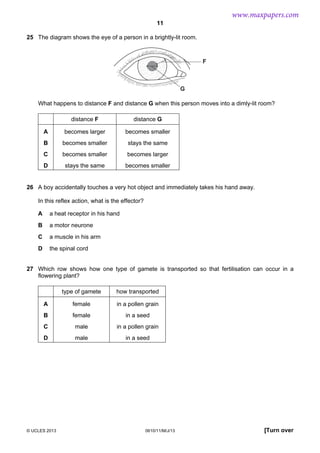 www.maxpapers.com
11
25 The diagram shows the eye of a person in a brightly-lit room.

F

G
What happens to distance F and distance G when this person moves into a dimly-lit room?
distance F

distance G

A

becomes larger

becomes smaller

B

becomes smaller

stays the same

C

becomes smaller

becomes larger

D

stays the same

becomes smaller

26 A boy accidentally touches a very hot object and immediately takes his hand away.
In this reflex action, what is the effector?
A

a heat receptor in his hand

B

a motor neurone

C

a muscle in his arm

D

the spinal cord

27 Which row shows how one type of gamete is transported so that fertilisation can occur in a
flowering plant?
type of gamete

how transported

A

female

in a pollen grain

B

female

in a seed

C

male

in a pollen grain

D

male

in a seed

© UCLES 2013

0610/11/M/J/13

[Turn over

 