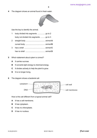 www.maxpapers.com
3
4

The diagram shows an animal found in fresh water.

Use the key to identify the animal.
1

body divided into segments ............... go to 2
body not divided into segments ......... go to 3

2

straight body ...................................... animal A
curved body ....................................... animal B

3

has a shell ......................................... animal C
has no shell ....................................... animal D

5

Which statement about xylem is correct?
A
B

It converts light energy to chemical energy.

C

It divides actively to help the plant to grow.

D
6

It carries sucrose.

It is no longer living.

The diagram shows a bacterial cell.
cytoplasm

cell wall

DNA

cell membrane

How is this cell different from a typical animal cell?
A

It has a cell membrane.

B

It has cytoplasm.

C

It has no chloroplasts.

D

It has no nucleus.

© UCLES 2013

0610/11/M/J/13

[Turn over

 