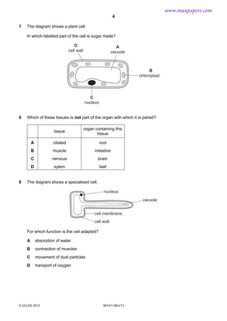 www.maxpapers.com
4
7

The diagram shows a plant cell.
In which labelled part of the cell is sugar made?
D
cell wall

A
vacuole

B
chloroplast

C
nucleus

8

Which of these tissues is not part of the organ with which it is paired?
tissue
A

ciliated

root

B

muscle

intestine

C

nervous

brain

D
9

organ containing this
tissue

xylem

leaf

The diagram shows a specialised cell.
nucleus
vacuole
cell membrane
cell wall

For which function is the cell adapted?
A

absorption of water

B

contraction of muscles

C

movement of dust particles

D

transport of oxygen

© UCLES 2013

0610/11/M/J/13

 