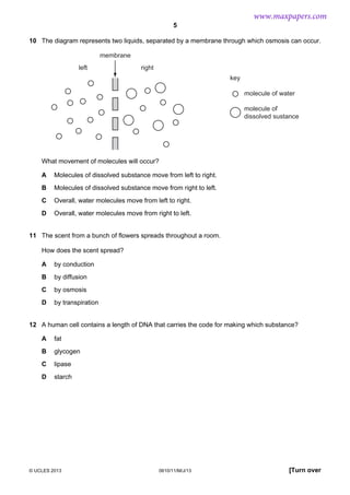 www.maxpapers.com
5
10 The diagram represents two liquids, separated by a membrane through which osmosis can occur.
membrane
left

right
key
molecule of water
molecule of
dissolved sustance

What movement of molecules will occur?
A

Molecules of dissolved substance move from left to right.

B

Molecules of dissolved substance move from right to left.

C

Overall, water molecules move from left to right.

D

Overall, water molecules move from right to left.

11 The scent from a bunch of flowers spreads throughout a room.
How does the scent spread?
A

by conduction

B

by diffusion

C

by osmosis

D

by transpiration

12 A human cell contains a length of DNA that carries the code for making which substance?
A

fat

B

glycogen

C

lipase

D

starch

© UCLES 2013

0610/11/M/J/13

[Turn over

 