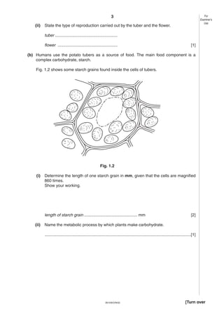3
0610/6/O/N/02 [Turn over
(ii) State the type of reproduction carried out by the tuber and the flower.
tuber ......................................................
flower .................................................... [1]
(b) Humans use the potato tubers as a source of food. The main food component is a
complex carbohydrate, starch.
Fig. 1.2 shows some starch grains found inside the cells of tubers.
Fig. 1.2
(i) Determine the length of one starch grain in mm, given that the cells are magnified
860 times.
Show your working.
length of starch grain .............................................. mm [2]
(ii) Name the metabolic process by which plants make carbohydrate.
...............................................................................................................................[1]
For
Examiner’s
Use
 