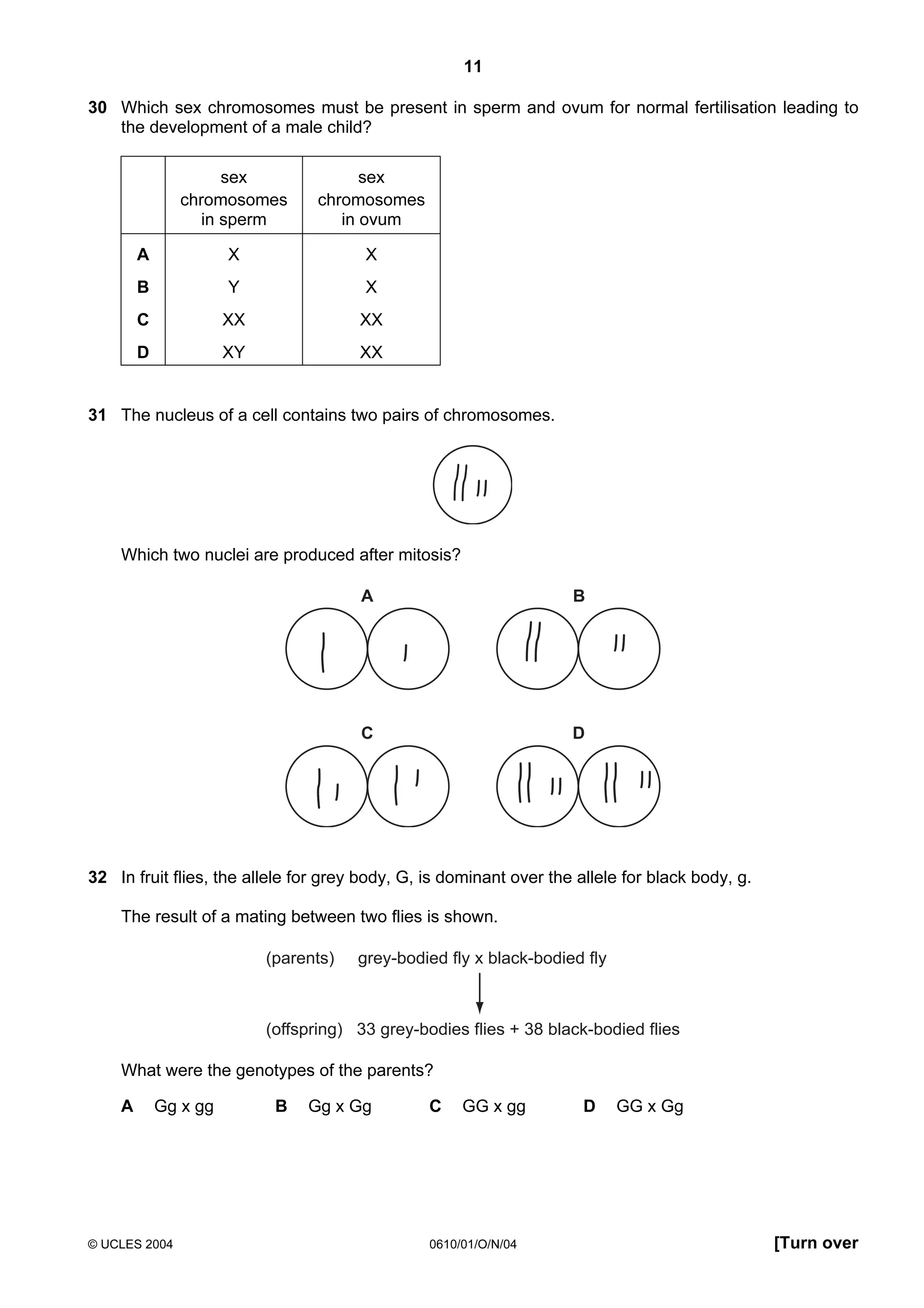 11
30 Which sex chromosomes must be present in sperm and ovum for normal fertilisation leading to
the development of a male child?
sex
chromosomes
in sperm

sex
chromosomes
in ovum

A

X

X

B

Y

X

C

XX

XX

D

XY

XX

31 The nucleus of a cell contains two pairs of chromosomes.

Which two nuclei are produced after mitosis?
A

B

C

D

32 In fruit flies, the allele for grey body, G, is dominant over the allele for black body, g.
The result of a mating between two flies is shown.
(parents)

grey-bodied fly x black-bodied fly

(offspring) 33 grey-bodies flies + 38 black-bodied flies

What were the genotypes of the parents?
A

Gg x gg

© UCLES 2004

B

Gg x Gg

C

GG x gg

0610/01/O/N/04

D

GG x Gg

[Turn over

 