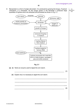 10
© UCLES 2012 0610/33/O/N/12
For
Examiner's
Use
3 Mycoprotein is a form of single cell protein. It is produced by growing the fungus, Fusarium
venenatum, in a fermenter. As the fungus grows in the fermenter it produces large
quantities of hyphae which are extracted and processed as shown in Fig. 3.1.
removal of hyphae
in medium
hyphae filtered
from medium
hyphae treated to
remove RNA
hyphae processed into meat-like
form to make burgers, sausages,
pies and other products
growth of fungus
fermenter
glucosecorn starch
ammonia, salts
oxygen in
sterile air
food additives
small quantity of
Fusarium venenatum
enzymes
Fig. 3.1
(a) (i) Name an enzyme used to digest the corn starch.
[1]
(ii) Explain why it is necessary to digest the corn starch.
[2]
www.maxpapers.com
 