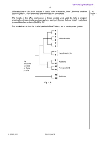 4
© UCLES 2012 0610/33/O/N/12
For
Examiner's
Use
Small sections of DNA in 14 species of cicada found in Australia, New Caledonia and New
Zealand (1 to 14) were examined for similarities and differences.
The results of the DNA examination of these species were used to make a diagram
showing how these cicada species may have evolved. Species that are closely related are
grouped together on the right of Fig. 1.2.
The brackets show that the cicada species in New Zealand are in two separate groups.
1
2
3
4
9
10
11
12
5
6
7
8
13
14
the
ancestral
species
of these
cicada
New Zealand
New Zealand
New Caledonia
Australia
Australia
Fig. 1.2
www.maxpapers.com
 