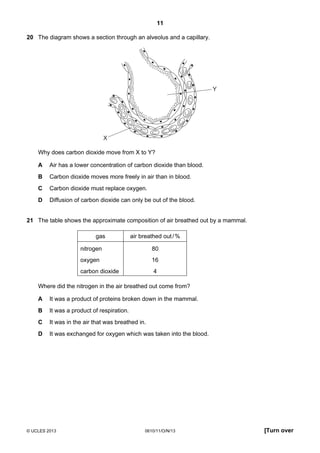 11
© UCLES 2013 0610/11/O/N/13 [Turn over
20 The diagram shows a section through an alveolus and a capillary.
X
Y
Why does carbon dioxide move from X to Y?
A Air has a lower concentration of carbon dioxide than blood.
B Carbon dioxide moves more freely in air than in blood.
C Carbon dioxide must replace oxygen.
D Diffusion of carbon dioxide can only be out of the blood.
21 The table shows the approximate composition of air breathed out by a mammal.
gas air breathed out/%
nitrogen 80
oxygen 16
carbon dioxide 4
Where did the nitrogen in the air breathed out come from?
A It was a product of proteins broken down in the mammal.
B It was a product of respiration.
C It was in the air that was breathed in.
D It was exchanged for oxygen which was taken into the blood.
 