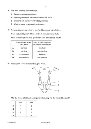 14
© UCLES 2013 0610/11/O/N/13
26 How does sweating cool the body?
A Sweating causes vasodilation.
B Sweating decreases the water content of the blood.
C Urea and salt are lost from the body in sweat.
D Water in sweat evaporates from the skin.
27 A mango tree can reproduce by seed and by asexual reproduction.
Trees produced by each of these methods produce mango fruits.
When comparing these fruits genetically, what is the correct result?
fruits of trees grown
from seeds
fruits of trees produced
by asexual reproduction
A identical identical
B identical non-identical
C non-identical identical
D non-identical non-identical
28 The diagram shows a section through a flower.
1
2
3
4
After the flower is fertilised, which parts will develop into the fruit and the seed?
fruit seed
A 1 2
B 1 4
C 2 3
D 3 4
 