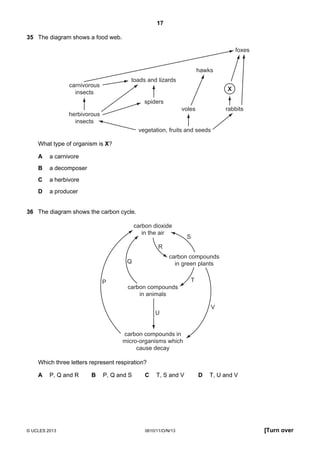 17
© UCLES 2013 0610/11/O/N/13 [Turn over
35 The diagram shows a food web.
vegetation, fruits and seeds
voles
hawks
spiders
toads and lizards
herbivorous
insects
carnivorous
insects
rabbits
X
foxes
What type of organism is X?
A a carnivore
B a decomposer
C a herbivore
D a producer
36 The diagram shows the carbon cycle.
carbon dioxide
in the air
carbon compounds
in green plants
carbon compounds
in animals
carbon compounds in
micro-organisms which
cause decay
P
Q
R
S
T
U
V
Which three letters represent respiration?
A P, Q and R B P, Q and S C T, S and V D T, U and V
 