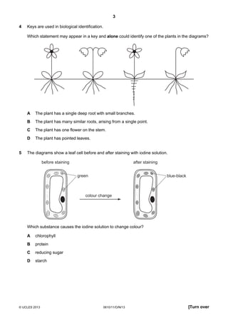 3
© UCLES 2013 0610/11/O/N/13 [Turn over
4 Keys are used in biological identification.
Which statement may appear in a key and alone could identify one of the plants in the diagrams?
A The plant has a single deep root with small branches.
B The plant has many similar roots, arising from a single point.
C The plant has one flower on the stem.
D The plant has pointed leaves.
5 The diagrams show a leaf cell before and after staining with iodine solution.
green
before staining
blue-black
after staining
colour change
Which substance causes the iodine solution to change colour?
A chlorophyll
B protein
C reducing sugar
D starch
 