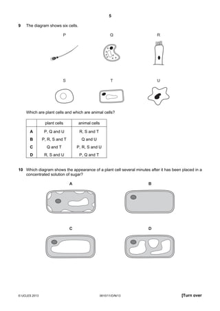 5
© UCLES 2013 0610/11/O/N/13 [Turn over
9 The diagram shows six cells.
P Q R
S T U
Which are plant cells and which are animal cells?
plant cells animal cells
A P, Q and U R, S and T
B P, R, S and T Q and U
C Q and T P, R, S and U
D R, S and U P, Q and T
10 Which diagram shows the appearance of a plant cell several minutes after it has been placed in a
concentrated solution of sugar?
A B
C D
 