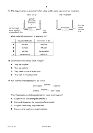 6
© UCLES 2013 0610/11/O/N/13
11 The diagrams show an experiment when set up and the same experiment two hours later.
when set up two hours later
partially
permeable
membrane
pure
water
concentrated
sugar solution
coloured with dye
dye has
moved
into this
side
What explains the movement of water and dye?
movement of water movement of dye
A diffusion osmosis
B osmosis diffusion
C osmosis translocation
D translocation diffusion
12 Which statement is correct for all catalysts?
A They are enzymes.
B They are proteins.
C They speed up chemical reactions.
D They work in living organisms.
13 Two enzyme-controlled reactions are shown.
amino acids proteins
enzyme 1
proteins amino acids
enzyme 2
From these reactions, what deduction can be made about enzymes?
A Enzyme 1 has been changed to enzyme 2.
B Enzyme 2 slows down the production of amino acids.
C Enzymes can build up large molecules.
D Enzymes only break down large molecules.
 