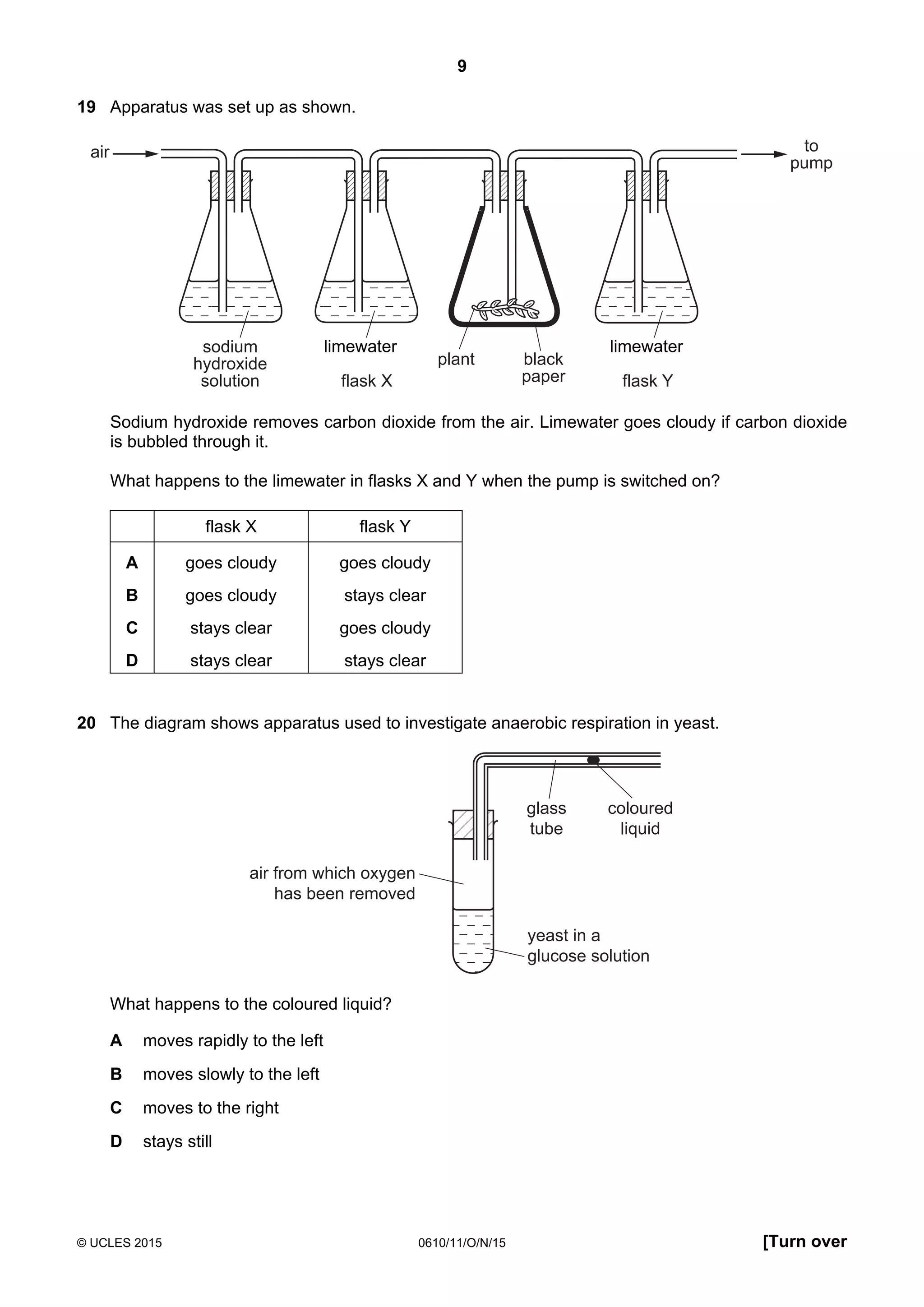 9
© UCLES 2015 0610/11/O/N/15 [Turn over
19 Apparatus was set up as shown.
air
sodium
hydroxide
solution flask X
black
paper
plant
flask Y
to
pump
limewater limewater
Sodium hydroxide removes carbon dioxide from the air. Limewater goes cloudy if carbon dioxide
is bubbled through it.
What happens to the limewater in flasks X and Y when the pump is switched on?
flask X flask Y
A goes cloudy goes cloudy
B goes cloudy stays clear
C stays clear goes cloudy
D stays clear stays clear
20 The diagram shows apparatus used to investigate anaerobic respiration in yeast.
yeast in a
glucose solution
glass
tube
coloured
liquid
air from which oxygen
has been removed
What happens to the coloured liquid?
A moves rapidly to the left
B moves slowly to the left
C moves to the right
D stays still
 