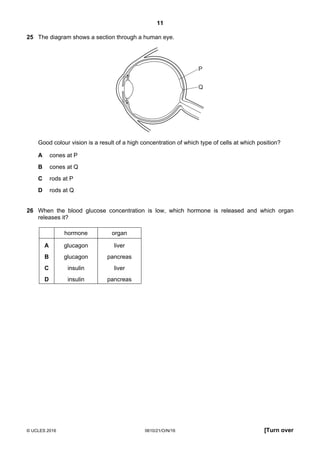 11
© UCLES 2016 0610/21/O/N/16 [Turn over
25 The diagram shows a section through a human eye.
P
Q
Good colour vision is a result of a high concentration of which type of cells at which position?
A cones at P
B cones at Q
C rods at P
D rods at Q
26 When the blood glucose concentration is low, which hormone is released and which organ
releases it?
hormone organ
A glucagon liver
B glucagon pancreas
C insulin liver
D insulin pancreas
 