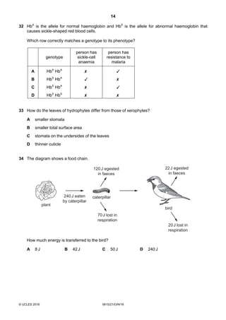 14
© UCLES 2016 0610/21/O/N/16
32 HbA
is the allele for normal haemoglobin and HbS
is the allele for abnormal haemoglobin that
causes sickle-shaped red blood cells.
Which row correctly matches a genotype to its phenotype?
genotype
person has
sickle-cell
anaemia
person has
resistance to
malaria
A HbA
HbA
B HbS
HbA
C HbS
HbA
D HbS
HbS
33 How do the leaves of hydrophytes differ from those of xerophytes?
A smaller stomata
B smaller total surface area
C stomata on the undersides of the leaves
D thinner cuticle
34 The diagram shows a food chain.
240J eaten
by caterpillar
120J egested
in faeces
22J egested
in faeces
70J lost in
respiration
20J lost in
respiration
plant
caterpillar
bird
How much energy is transferred to the bird?
A 8 J B 42 J C 50 J D 240 J
 