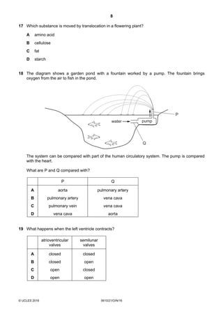 8
© UCLES 2016 0610/21/O/N/16
17 Which substance is moved by translocation in a flowering plant?
A amino acid
B cellulose
C fat
D starch
18 The diagram shows a garden pond with a fountain worked by a pump. The fountain brings
oxygen from the air to fish in the pond.
pumpwater
P
Q
The system can be compared with part of the human circulatory system. The pump is compared
with the heart.
What are P and Q compared with?
P Q
A aorta pulmonary artery
B pulmonary artery vena cava
C pulmonary vein vena cava
D vena cava aorta
19 What happens when the left ventricle contracts?
atrioventricular
valves
semilunar
valves
A closed closed
B closed open
C open closed
D open open
 