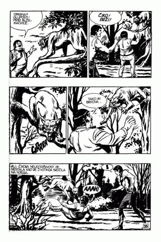 0611. zagor protv barona