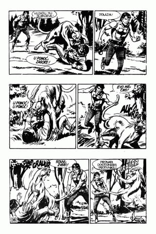 0611. zagor protv barona