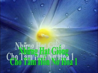 Những Hạt Giống Cho Tâm Hồn Nở Hoa 1 