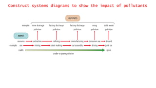 Construct systems diagrams to show the impact of pollutants
 