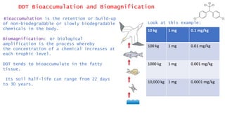 DDT Bioaccumulation and Biomagnification
Bioaccumulation is the retention or build-up
of non-biodegradable or slowly biodegradable
chemicals in the body.
Biomagnification: or biological
amplification is the process whereby
the concentration of a chemical increases at
each trophic level.
DDT tends to bioaccumulate in the fatty
tissue.
Its soil half-life can range from 22 days
to 30 years.
10 kg 1 mg 0.1 mg/kg
100 kg 1 mg 0.01 mg/kg
1000 kg 1 mg 0.001 mg/kg
10,000 kg 1 mg 0.0001 mg/kg
Look at this example:
 