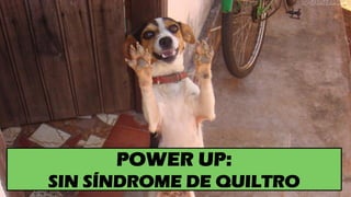 POWER UP:
SIN SÍNDROME DE QUILTRO
 
