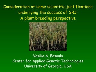 Consideration of some scientific justifications underlying the success of SRI: A plant breeding perspective Vasilia A. Fasoula Center for Applied Genetic Technologies University of Georgia, USA 
