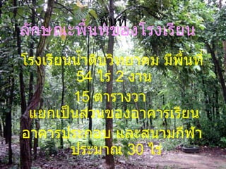 พื้นที่ ลักษณะพื้นที่ของโรงเรียน โรงเรียนน้ำดิบวิทยาคม มีพื้นที่  54  ไร่  2  งาน  15  ตารางวา  แยกเป็นส่วนของอาคารเรียน  อาคารประกอบ และสนามกีฬา ประมาณ  30  ไร่ พื้นที่นอกนั้นเป็นพื้นที่ป่าธรรมชาติ ประมาณ  20  ไร่เศษ 