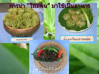 การนำ   “โสมคน” มาใช้เป็นอาหาร ผัดเผ็ดยอดโสมคน 