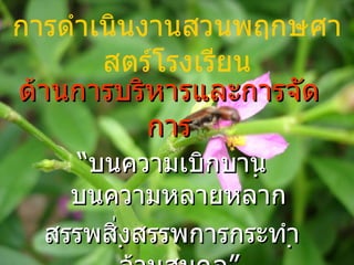 ด้านการบริหารและการจัดการ “ บนความเบิกบานบนความหลายหลาก สรรพสิ่งสรรพการกระทำล้วนสมดุล” การดำเนินงานสวȨฤกษศาสตร์โรง๶รียน 