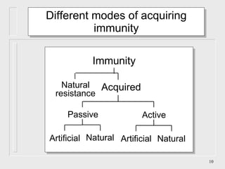 Different modes of acquiring immunity Immunity Natural resistance Artificial Natural Passive Artificial Natural Active Acquired 