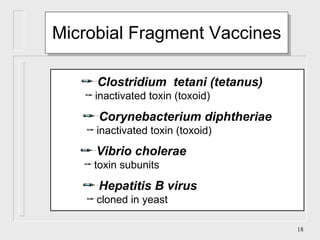 Microbial Fragment Vaccines Clostridium  tetani (tetanus) inactivated toxin (toxoid) Corynebacterium diphtheriae inactivated toxin (toxoid) Vibrio cholerae toxin subunits Hepatitis B virus cloned in yeast 