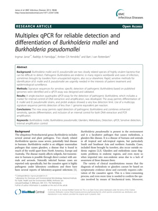 RESEARCH ARTICLE Open Access
Multiplex qPCR for reliable detection and
differentiation of Burkholderia mallei and
Burkholderia pseudomallei
Ingmar Janse1*
, Raditijo A Hamidjaja1
, Amber CA Hendriks2
and Bart J van Rotterdam1
Abstract
Background: Burkholderia mallei and B. pseudomallei are two closely related species of highly virulent bacteria that
can be difficult to detect. Pathogenic Burkholderia are endemic in many regions worldwide and cases of infection,
sometimes brought by travelers from unsuspected regions, also occur elsewhere. Rapid, sensitive methods for
identification of B. mallei and B. pseudomallei are urgently needed in the interests of patient treatment and
epidemiological surveillance.
Methods: Signature sequences for sensitive, specific detection of pathogenic Burkholderia based on published
genomes were identified and a qPCR assay was designed and validated.
Results: A single-reaction quadruplex qPCR assay for the detection of pathogenic Burkholderia, which includes a
marker for internal control of DNA extraction and amplification, was developed. The assay permits differentiation of
B. mallei and B. pseudomallei strains, and probit analysis showed a very low detection limit. Use of a multicopy
signature sequence permits detection of less than 1 genome equivalent per reaction.
Conclusions: The new assay permits rapid detection of pathogenic Burkholderia and combines enhanced
sensitivity, species differentiation, and inclusion of an internal control for both DNA extraction and PCR
amplification.
Keywords: Burkholderia mallei, Burkholderia pseudomallei, Glanders, Melioidosis, Detection, qPCR, Sensitive detection,
Internal amplification control
Background
The ubiquitous Proteobacterial genus Burkholderia includes
several animal and plant pathogens. Two closely related
Burkholderia species cause severe, potentially fatal disease
in humans. Burkholderia mallei is an obligate mammalian
pathogen that causes glanders, a disease that is found in
much of the world apart from North America, Europe and
Australia. The disease mainly affects solipeds, but transmis-
sion to humans is possible through direct contact with ani-
mals and aerosols. Naturally infected human cases are
reported only sporadically, but the causative agent is highly
pathogenic under laboratory conditions and there have
been several reports of laboratory-acquired infections [1].
Burkholderia pseudomallei is present in the environment
and is a facultative pathogen that causes melioidosis, a
glanders-like disease. It is a disease of humans and animals
in all tropical and sub-tropical regions, but particularly
South and Southeast Asia and northern Australia. Cases,
included those brought by travelers, also occur outside en-
demic regions [2,3]. Glanders and melioidosis cause diag-
nostic problems in endemic regions, and even more so
when imported into non-endemic areas due to a lack of
awareness of these diseases there.
The variety of clinical manifestations means that the
diagnosis of melioidosis or glanders cannot be based on
symptomatic evidence alone and currently requires culti-
vation of the causative agent. This is a time-consuming
process, and even more time is needed to confirm the spe-
cies involved by means of biochemical tests. Moreover,
* Correspondence: ingmar.janse@rivm.nl
1
Laboratory for Zoonoses and Environmental Microbiology, National Institute
for Public Health and the Environment (RIVM), Anthonie van
Leeuwenhoeklaan 9, Bilthoven, MA 3721, The Netherlands
Full list of author information is available at the end of the article
© 2013 Janse et al.; licensee BioMed Central Ltd. This is an Open Access article distributed under the terms of the Creative
Commons Attribution License (http://creativecommons.org/licenses/by/2.0), which permits unrestricted use, distribution, and
reproduction in any medium, provided the original work is properly cited.
Janse et al. BMC Infectious Diseases 2013, 13:86
http://www.biomedcentral.com/1471-2334/13/86
 