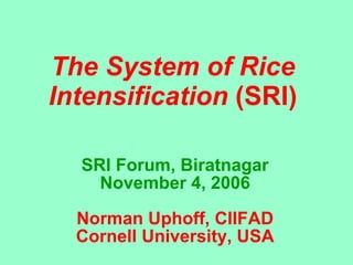 The System of Rice  Intensification  (SRI)  SRI Forum, Biratnagar November 4, 2006 Norman Uphoff, CIIFAD Cornell University, USA 