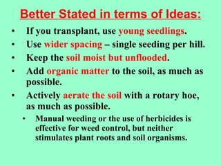 Better Stated in terms of Ideas: <ul><li>If you transplant, use  young seedlings . </li></ul><ul><li>Use  wider spacing  –...