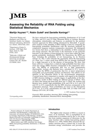 Assessing the Reliability of RNA Folding using
Statistical Mechanics
Martijn Huynen1,2
*, Robin Gutell3
and Danielle Konings2,3
1
Theoretical Biology and
Biophysics and Center for
Nonlinear Studies, Los Alamos
National Laboratory, MS-K710
Los Alamos, NM 87545, USA
2
Department of Santa Fe
Institute, 1399 Hyde Park
Road, Santa Fe, NM
87501, USA
3
Molecular, Cellular and
Developmental Biology,
University of Colorado
Campus Box 347, Boulder
CO 80309, USA
We have analyzed the base-pairing probability distributions of 16 S and
16 S-like, and 23 S and 23 S-like ribosomal RNAs of Archaea, Bacteria,
chloroplasts, mitochondria and Eukarya, as predicted by the partition
function approach for RNA folding introduced by McCaskill. A quanti-
tative analysis of the reliability of RNA folding is done by comparing the
base-pairing probability distributions with the structures predicted by
comparative sequence analysis (comparative structures). We distinguish
two factors that show a relationship to the reliability of RNA minimum
free energy structure. The ®rst factor is the dominance of one particular
base-pair or the absence of base-pairing for a given base within the base-
pairing probability distribution (BPPD). We characterize the BPPD per
base, including the probability of not base-pairing, by its Shannon
entropy (S). The S value indicates the uncertainty about the base-pairing
of a base: low S values result from BPPDs that are strongly dominated
by a single base-pair or by the absence of base-pairing. We show that
bases with low S values have a relatively high probability that their mini-
mum free energy (MFE) structure corresponds to the comparative struc-
ture. The BPPDs of prokaryotes that live at high temperatures
(thermophilic Archaea and Bacteria) have, calculated at 37
C, lower S
values than the BPPDs of prokaryotes that live at lower temperatures
(mesophilic and psychrophilic Archaea and Bacteria). This re¯ects an ad-
aptation of the ribosomal RNAs to the environmental temperature.
A second factor that is important to consider with regard to the reliability
of MFE structure folding is a variable degree of applicability of the ther-
modynamic model of RNA folding for different groups of RNAs. Here
we show that among the bases that show low S values, the Archaea and
Bacteria have similar, high probabilities (0.96 and 0.94 in 16 S and 0.93
and 0.91 in 23 S, respectively) that the MFE structure corresponds to the
comparative structure. These probabilities are lower in the chloroplasts
(16 S 0.91, 23 S 0.79), mitochondria (16 S-like 0.89, 23 S-like 0.69) and
Eukarya (18 S 0.81, 28 S 0.86).
# 1997 Academic Press Limited
Keywords: RNA secondary structure; RNA folding; base-pairing
probability distribution; ribosomal RNA; thermophiles*Corresponding author
Introduction
The higher-order structure of RNA is crucial in
many of its functions. This is exempli®ed by its
conservation in evolution and by the in vitro selec-
tion from random sequences of ribozymes for the
same function with a similar base-pairing pattern
(Ekland et al., 1995). Within RNA structure the sec-
ondary structure plays a central role, it covers the
dominant energy contributions and provides the
Present addresses: R. Gutell, Department of
Chemistry and Biochemistry, Campus Box 215,
University of Colorado Boulder, CO 80309-0215, USA:
D. Konings, Department of Microbiology, Southern
Illinois University at Carbondale, Carbondale, IL 62901,
USA: M. Huynen, Biocomputing, EMBL,
Meyerhofstrasse 1, 6900 Heidelberg, Germany
Abbreviations used: MFE, minimum free energy;
BPPD, base-pairing probability distribution; S, Shannon
entropy.
J. Mol. Biol. (1997) 267, 1104±1112
0022±2836/97/151104±09 $25.00/0/mb970889 # 1997 Academic Press Limited
 