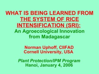 WHAT IS BEING LEARNED FROM  THE SYSTEM OF RICE INTENSIFICATION (SRI):   An Agroecological Innovation from Madagascar Norman Uphoff, CIIFAD Cornell University, USA  Plant Protection/IPM Program Hanoi, January 4, 2006 