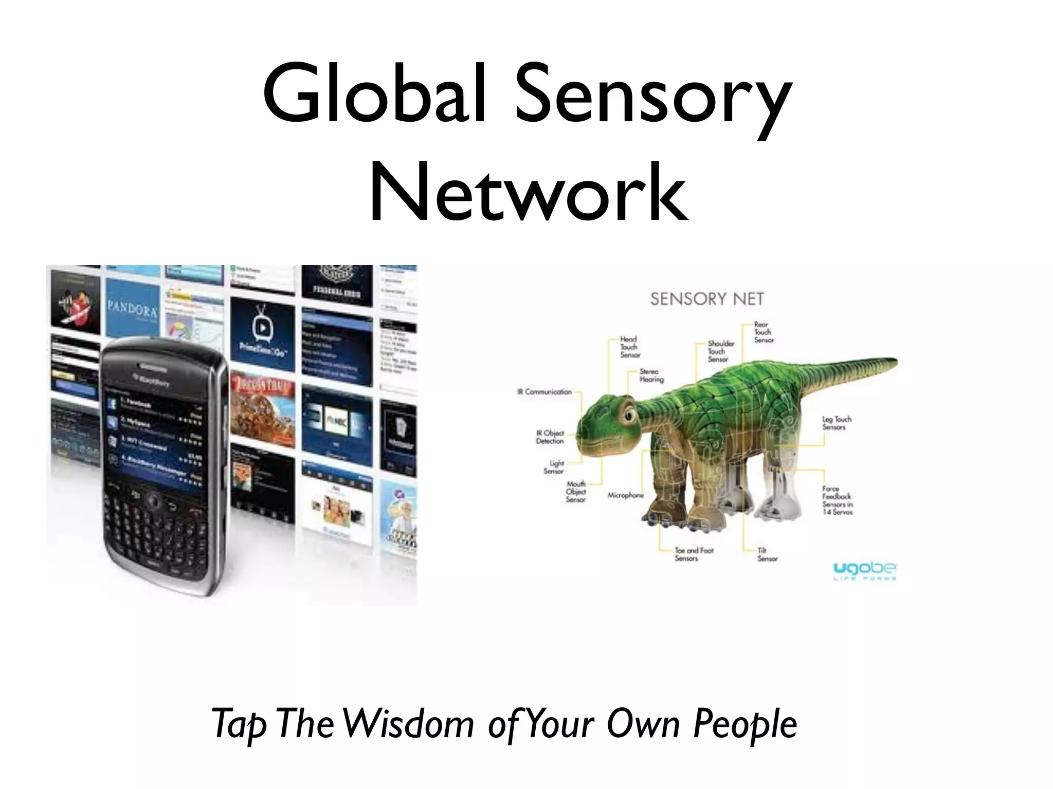 Global Sensory
    Network




Tap The Wisdom of Your Own People
 