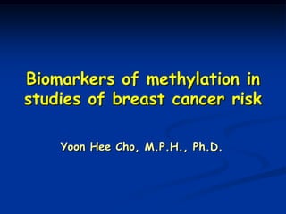 Biomarkers of methylation in
studies of breast cancer risk

    Yoon Hee Cho, M.P.H., Ph.D.
 