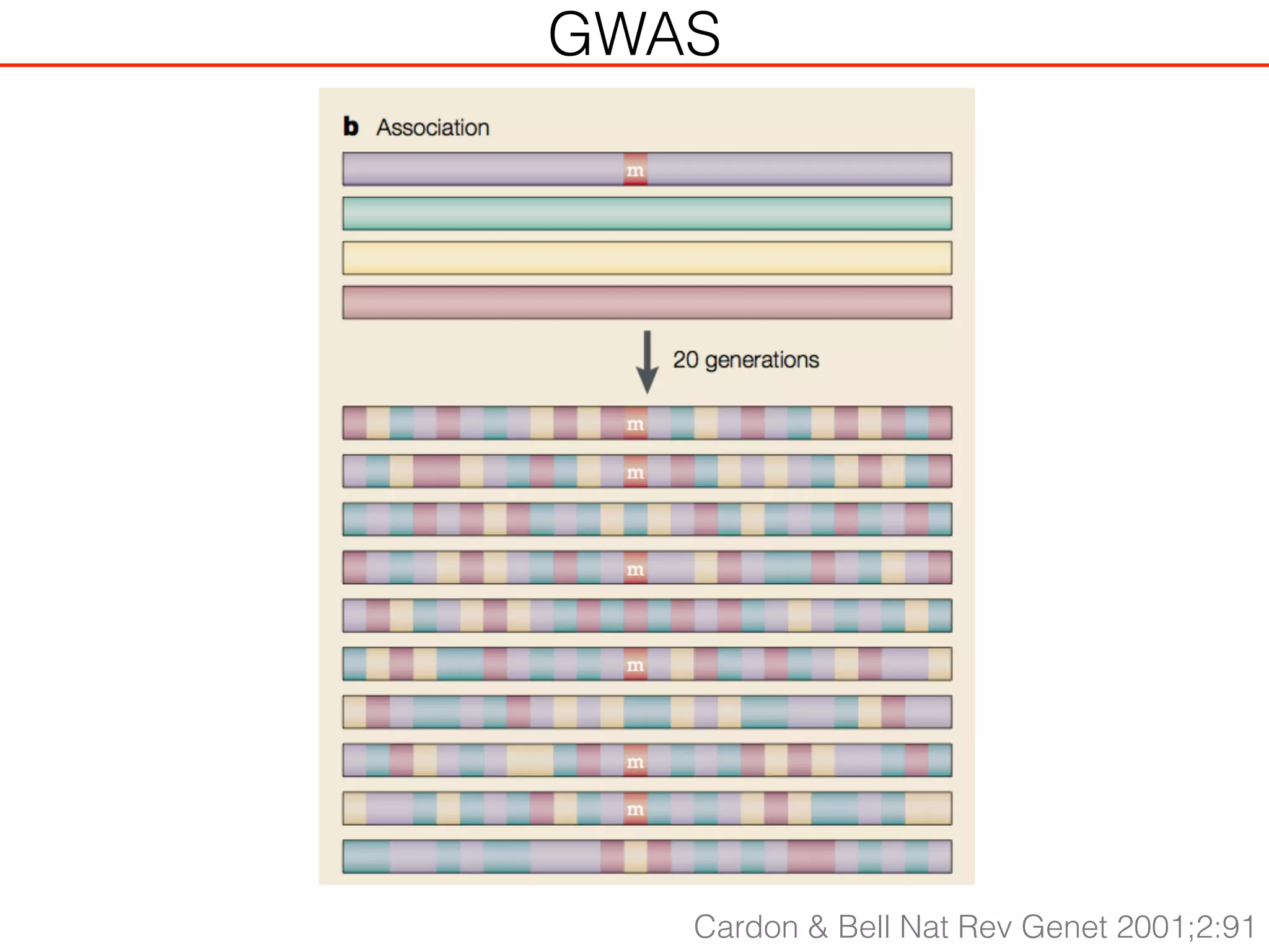 Cardon & Bell Nat Rev Genet 2001;2:91
GWAS
 