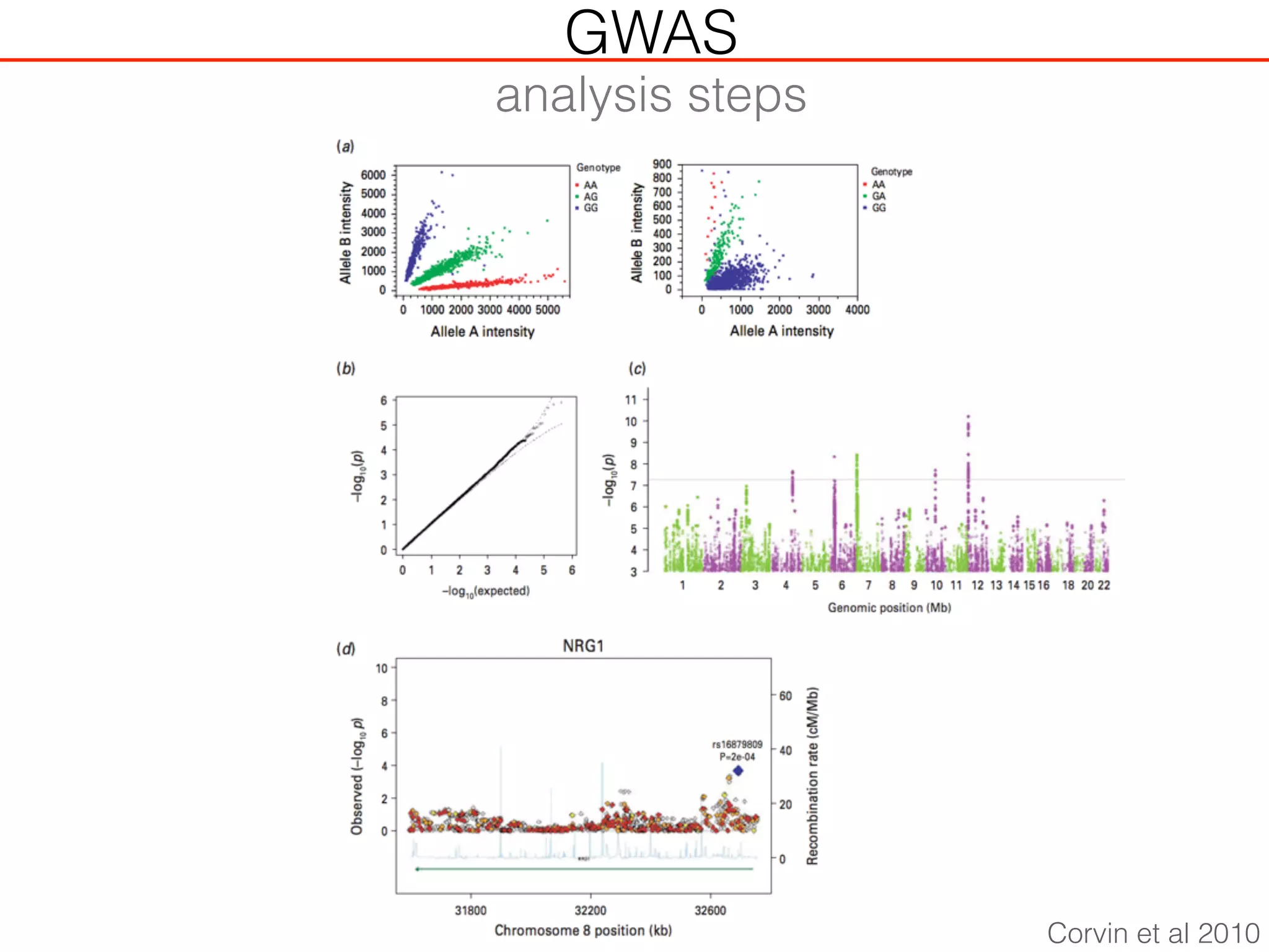 Corvin et al 2010
GWAS
analysis steps
 