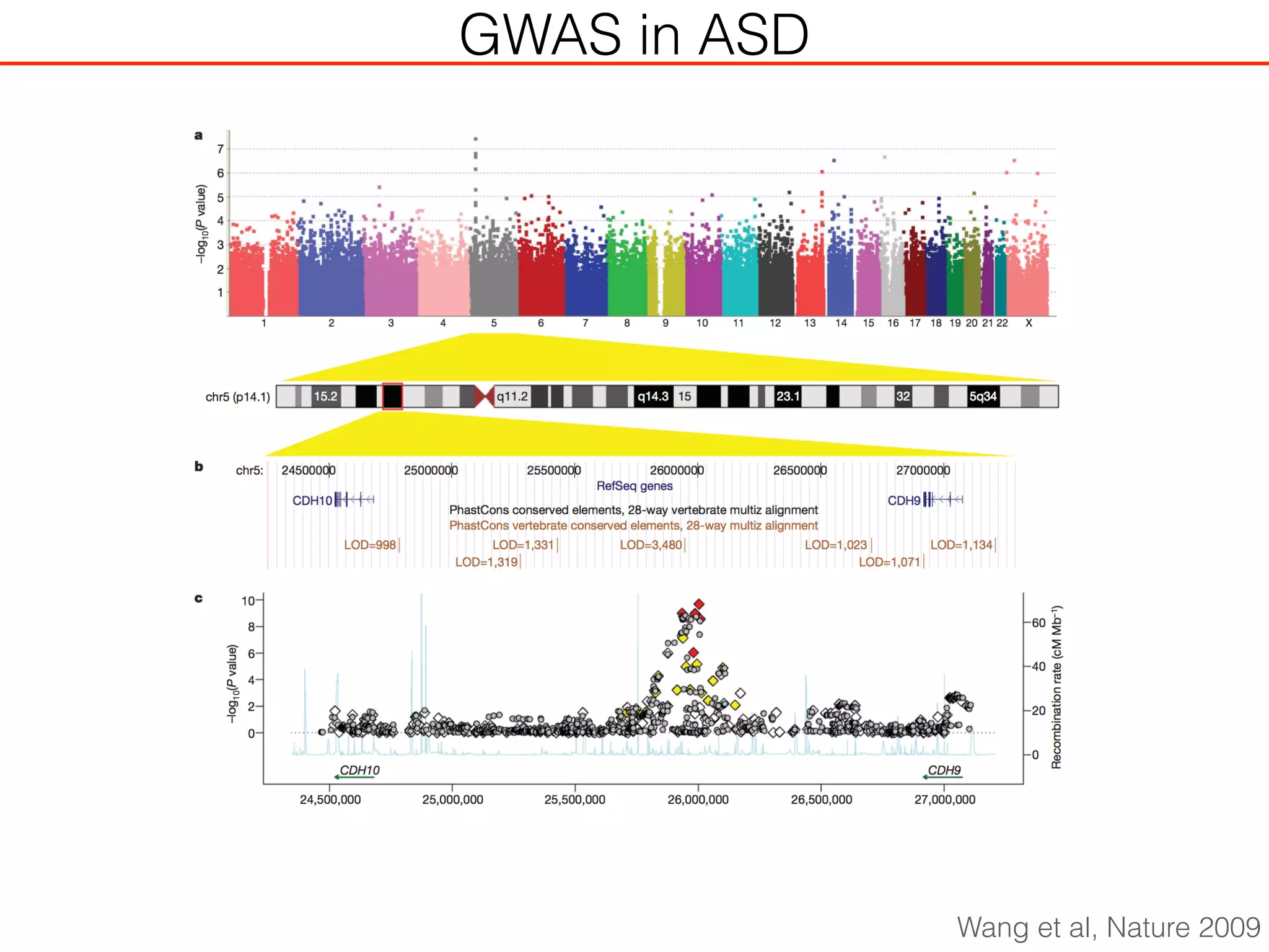 GWAS in ASD
Wang et al, Nature 2009
 